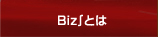 Biz&int;とは