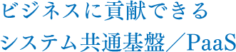 ビジネスに貢献できるシステム共通基盤/PaaS